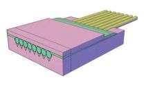 Optical Fiber Collimator Array / Custom-made(SFC/MFC)